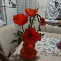 پرده اتاق بچه،پرده با والان،پرده مناسب بالکن،گلدان|پرده، رانر، رومیزی|تهران, امیر بهادر|دیوار