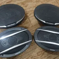 دو جفت باند بیضی کاملا سالم