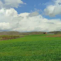 زمین-مناسب-کارگاه
