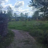 7000 متر زمین زراعی / شالیزار / مزروعی / زیبا کنار|فروش زمین و ملک کلنگی|رشت, گلسار|دیوار