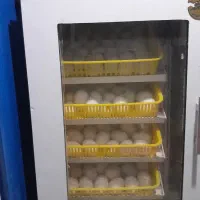 دستگاه جوجه کشی ۲۱۰ تایی فاخته