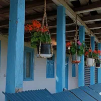 بوم گردی نرگس بانو در روستای دوستکوه شهر رودسر|اجارهٔ کوتاه‌مدت ویلا و باغ|رودسر, |دیوار