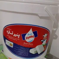 سطل پنیر|ظروف نگهدارنده، پلاستیکی، یک‌بارمصرف|تربت‌حیدریه, بیمارستان رازی|دیوار