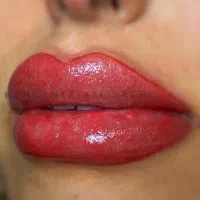 مدل فیبروز، شید لب