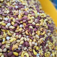 آجیل|خوردنی و آشامیدنی|تهران, مسعودیه|دیوار