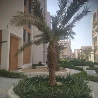 واحد تک خواب