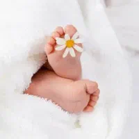عکاسی و فیلمبرداری تولد و مجالس