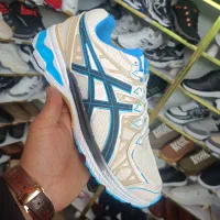 دراگون آسگس نیوبالانس