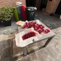 نصبلوسترنصاب لوسترتعمیرلوستر|خدمات پیشه و مهارت|قزوین, |دیوار