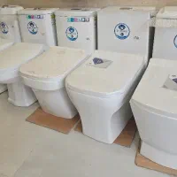 انواع فرنگی برند مروارید