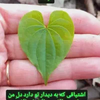 محصولات گیاهی درمانی|آرایشی، بهداشتی، درمانی|نیریز, |دیوار