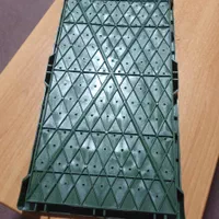 نشا سینی نشا توم باکس نشا برنج|خدمات باغبانی و درختکاری|رشت, دباغیان|دیوار