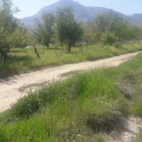 ۱۰۰۰متر زمین