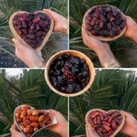 فروش خرما( کبکاب بریمی شهابی زاهدی)