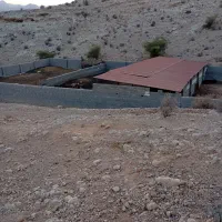 کود حیوانی