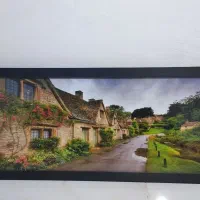 تابلو منظره دار سالم