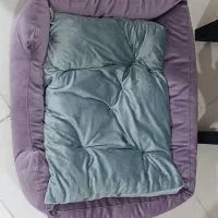 تشک راحت برای سگ|لوازم جانبی حیوانات|ارومیه, |دیوار