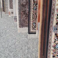 قالیشوی ملایری در پاکدشت‌وشریف اباد۳۶۱۶۰۵۳۰