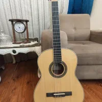 گیتار grape e310|گیتار، بیس، امپلیفایر|بوشهر, |دیوار