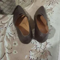 کیف کفش ست شیک فقط یکبار پوشیده شده|کیف، کفش، کمربند|ری, علایین|دیوار