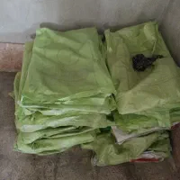 کیسه خالی