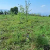 باغ کوچک در بهترین منطقه خوش آب و هوایی