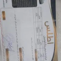 ام وی ام 315صندوق دار