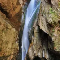 طبیعت گردی