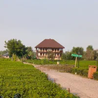 استخدام نیروی صندق مجرب