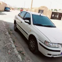 سمند معمولی