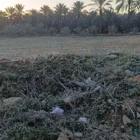 ۱۸۰ متر مسکونی سند تک برگ