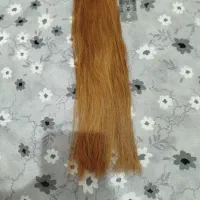 فروش مو طبیعی|آرایشی، بهداشتی، درمانی|شیراز, شهرک دارایی|دیوار