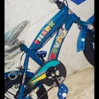 دوچرخه ۱۲|دوچرخه، اسکیت، اسکوتر|میاندوآب, |دیوار