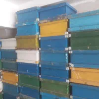 کندو|لوازم جانبی حیوانات|بجنورد, |دیوار