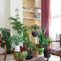 همخونه خانم همخانه مذهبی