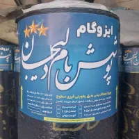 ایزوگام