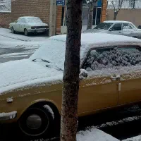 پیکان ۶۲|خودرو سواری و وانت|تهران, امیریه|دیوار