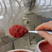 رب گوجه فرنگی خونگی   ولایتی خیلی ترش مزه وخوش رنگ|خوردنی و آشامیدنی|نیشابور, شهرک رسولی|دیوار