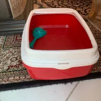 ظرف خاک گربه