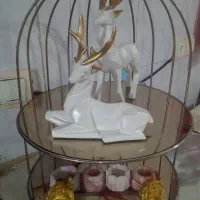 استند دو طبقه ودکوری