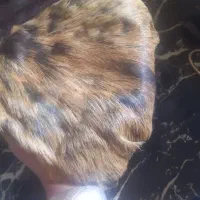 هیزه جای روغن|ظروف نگهدارنده، پلاستیکی، یک‌بارمصرف|دورود, |دیوار