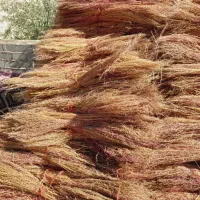 جارو فراشی|لوازم نظافت|سرپل ذهاب, |دیوار