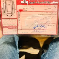 تارا ۱۴۰۰|خودرو سواری و وانت|تنکابن, |دیوار