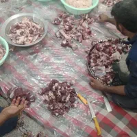قصاب دام گاو گوساله شتر وشتر مرغ ...|خدمات پذیرایی، مراسم|مشهد, دانشجو|دیوار