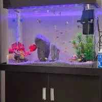 آکواریوم ۸۰ .۳۰ . ۸۰ با تجهیزات و ماهی ۵ م تومان