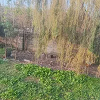 زمین مسکونی بعد از بانک ملی پونل