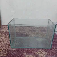 آکواریوم ماهی