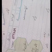 فروش سفته خام