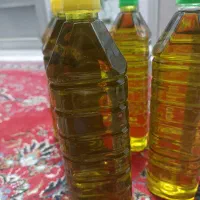 روغن زیتون اصل