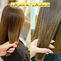 موخوره گیری روسی فقط ۲۰۰  تا  ۵۰۰